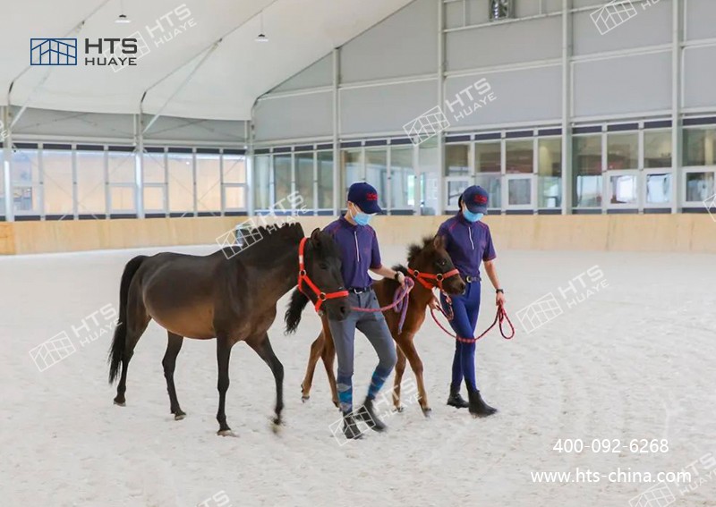 马术馆篷房高效两全，，，，，，打造校园马术新地标